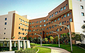 New York University, Abu Dhabi